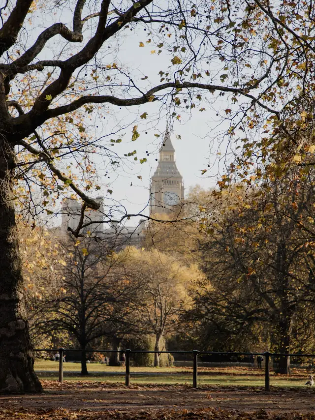 London – When Autumn Paints the City Gold