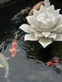 Пара дней в Сиане или как я влюбился в этот город-жемчужину