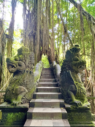 Sehari di Hutan Monyet Ubud: Hutan Rimba, Kuil & Monyet-Monyet yang Penasaran 🐒🌿🇮🇩