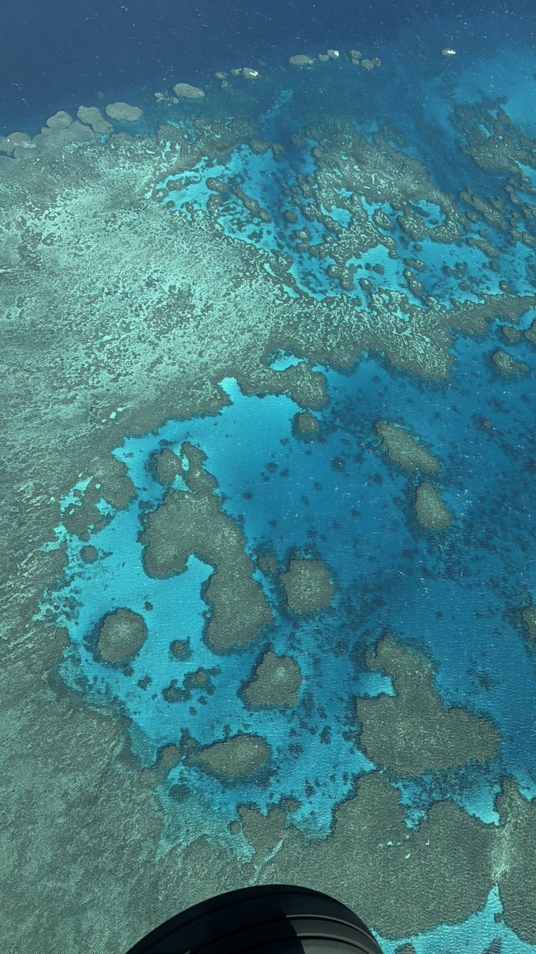 Explore the Whitsundays with Trip.com and capture dreamy aerial views in one go!