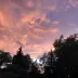 elara_6376