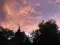 elara_6376