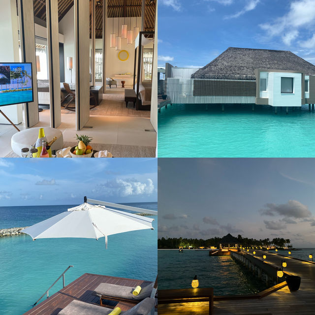 Maldives | So beautiful ‼️ Don't miss out on White Horse Manor.