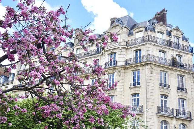 Paris's 9 best locations for taking perfect cherry blossom photos.