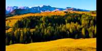 Alpine scenery in all four seasons.
