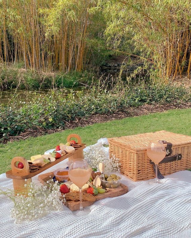 Enchanted Picnic Dreams in Brisbane