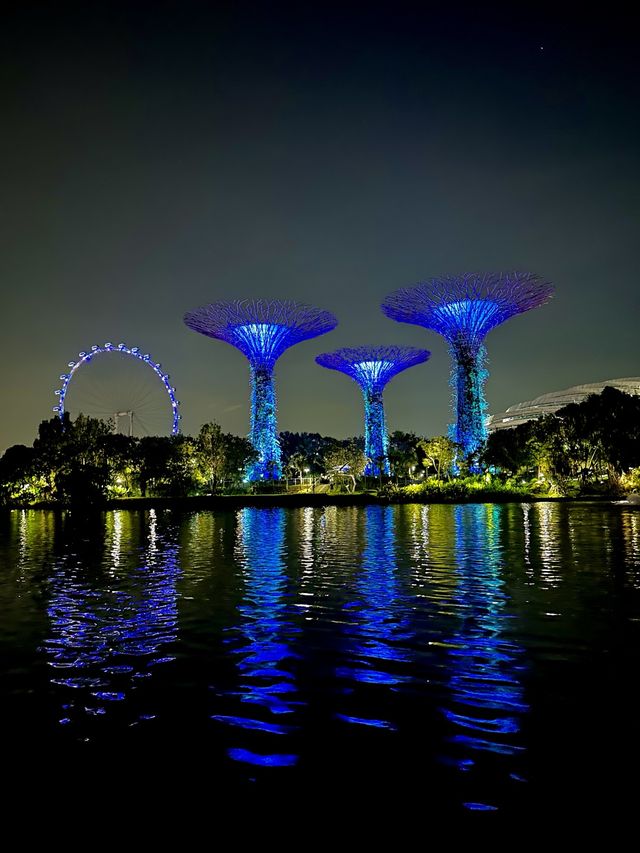I love Singapore! 🇸🇬