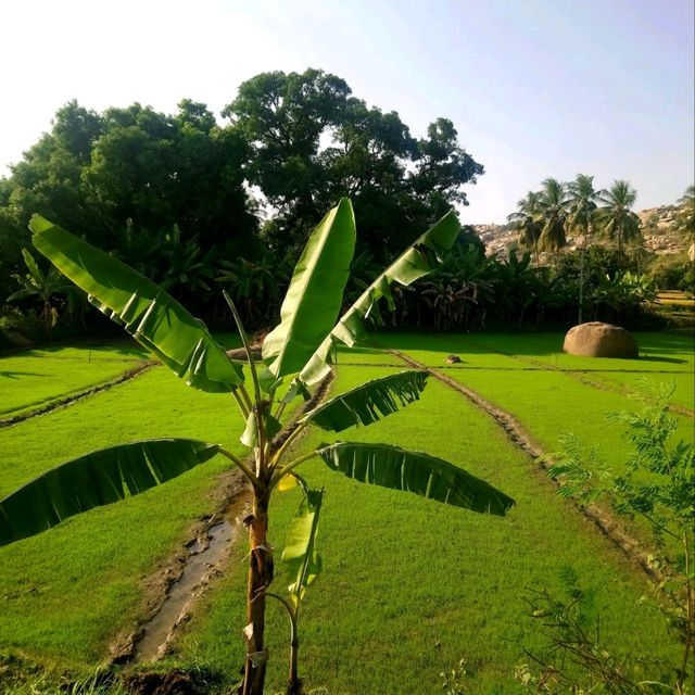 Hampi | Beauty With No Restrictions