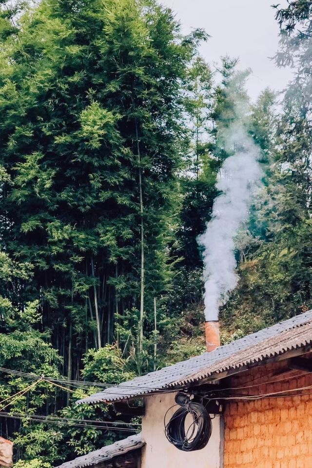 廣州寵物友好民宿/走進山冶