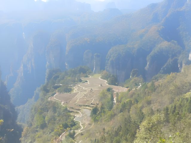 張家界之森林公園（袁家界楊家界天子山十里畫廊金鞭溪）