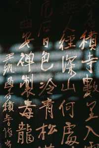 西安｜香積寺｜千年古刹名寺