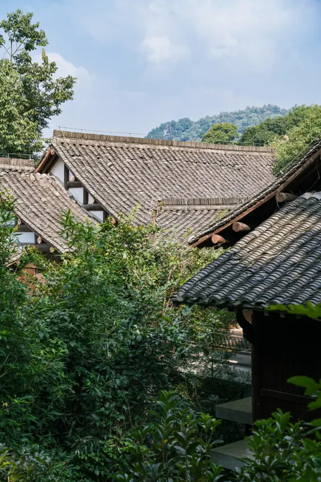 Travel Guide to the Longjing Branch of China National Tea Museum