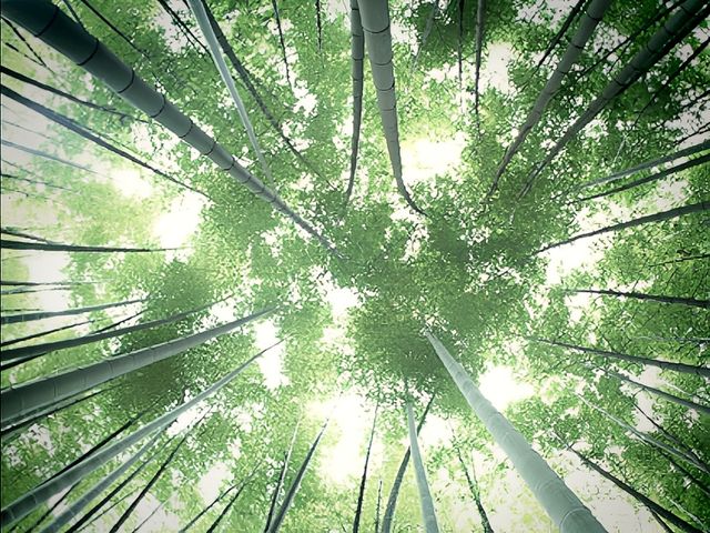 週末帶娃的好去處