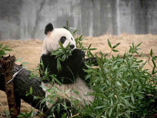 週末帶娃的好去處