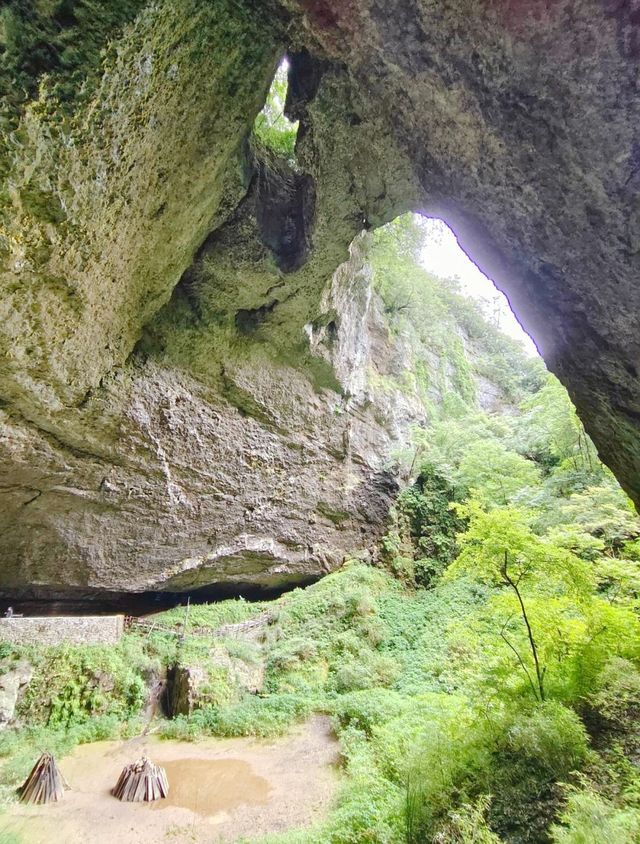 曾家山——四川最後的避暑聖地！