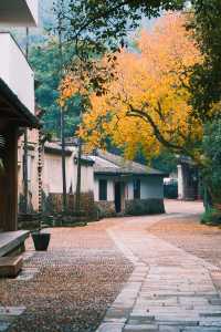 不愧是上榜《國家地理》的江南秘境！