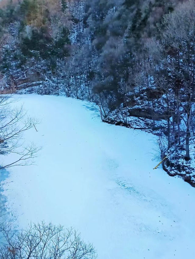 不是東北去不起，而是洛陽白雲山更有性價比！