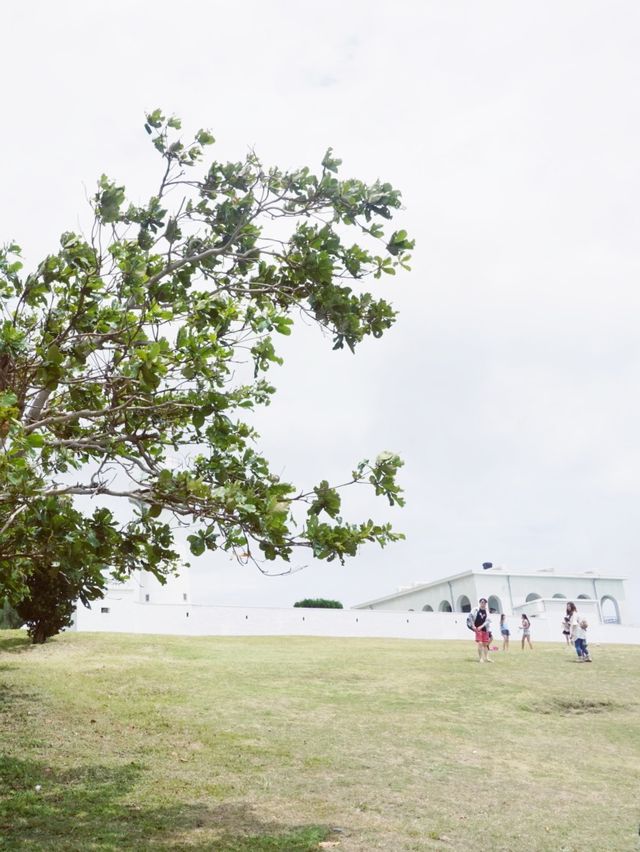 台灣墾丁最不可錯過的市區景點來鵝鑾鼻公園享受好風景