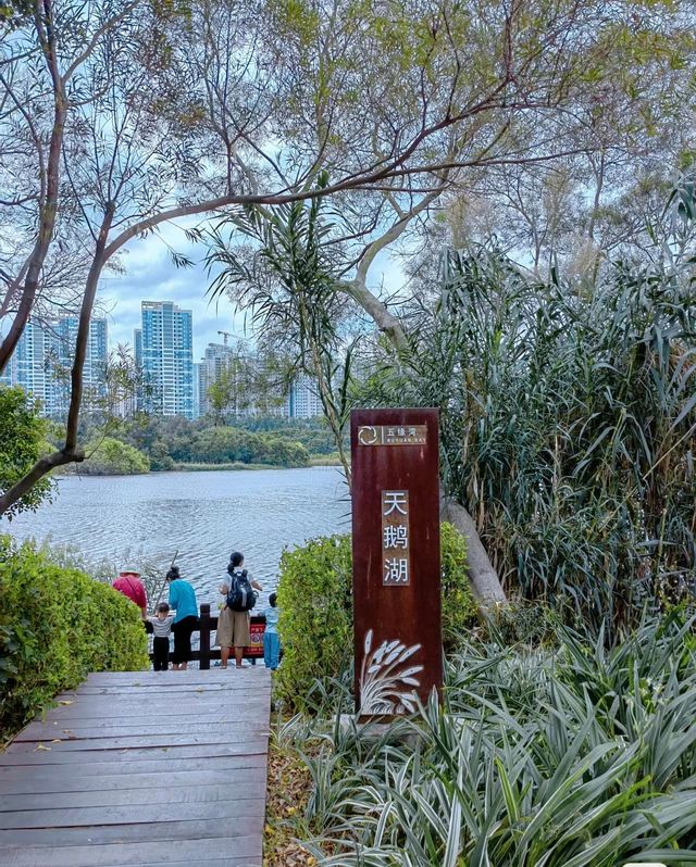 來廈門別只去鼓浪嶼，這個地方美麻了！