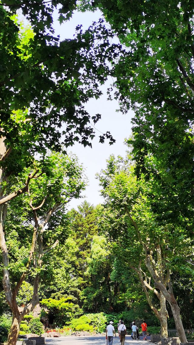 “滬東小西湖”——楊浦公園