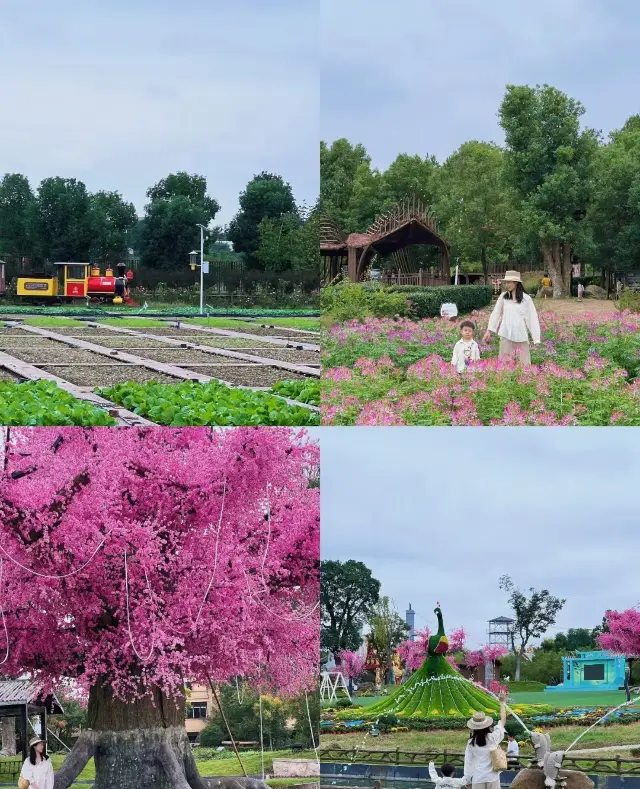 Wuhan Strolling with Kids| Guide to the Ancient Town of Dream Back to Tang Dynasty Nightless City