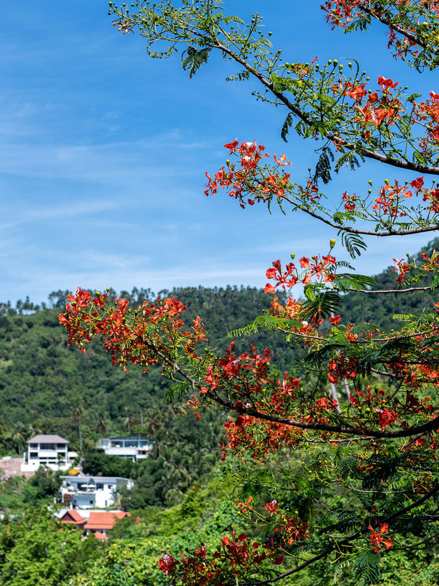 蘇梅島有塊平衡石，立於懸崖，高聳奇特