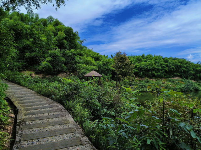 你想看什麼樣的風景，我們一起來感受大自然吧！