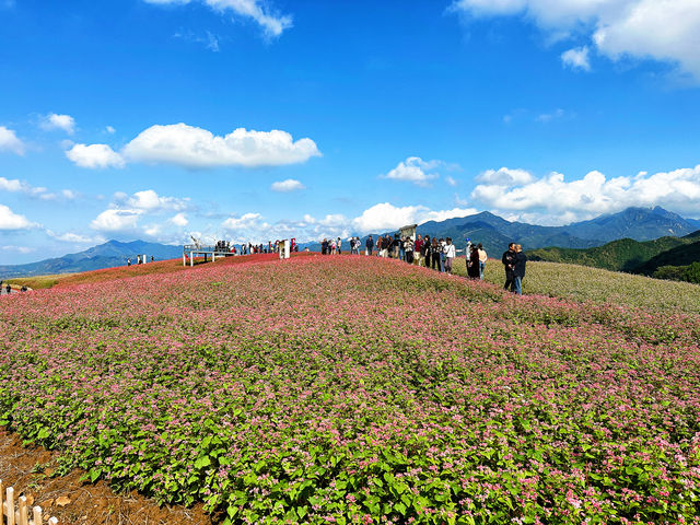 非常治癒的風景，來這裡視野開闊，心情嘎嘎好