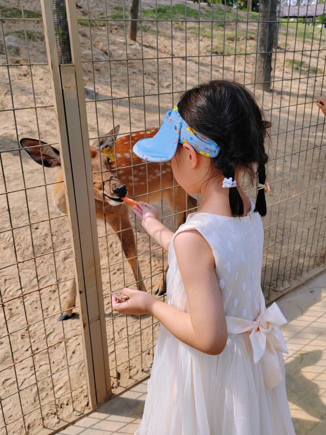 打卡樂華城動物園，瘋狂暴走一日遊！