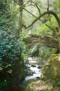 昆明周邊｜玉溪雲海日出哀牢山徒步𝟮天攻略