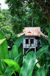 在馬來西亞住進小島上的綠野仙蹤
