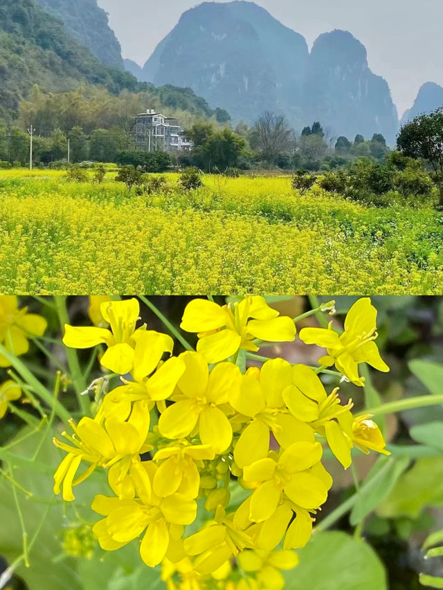 關於陽朔體驗過的3家超值民宿
