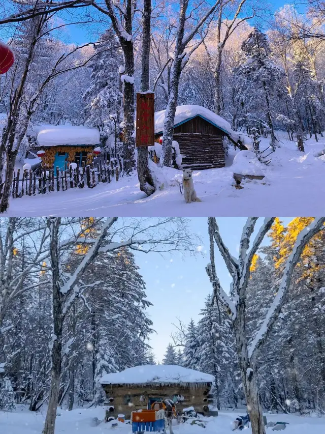 雪の町の冒険：3日間2泊のロマンスと冒険！