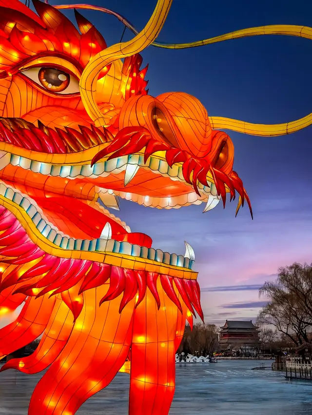 Houhai Lotus Market's super big dragon lantern, full of New Year's atmosphere and great for photos! Here's a guide