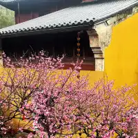 寧波｜天童禪寺，被忽視的絕美古剎