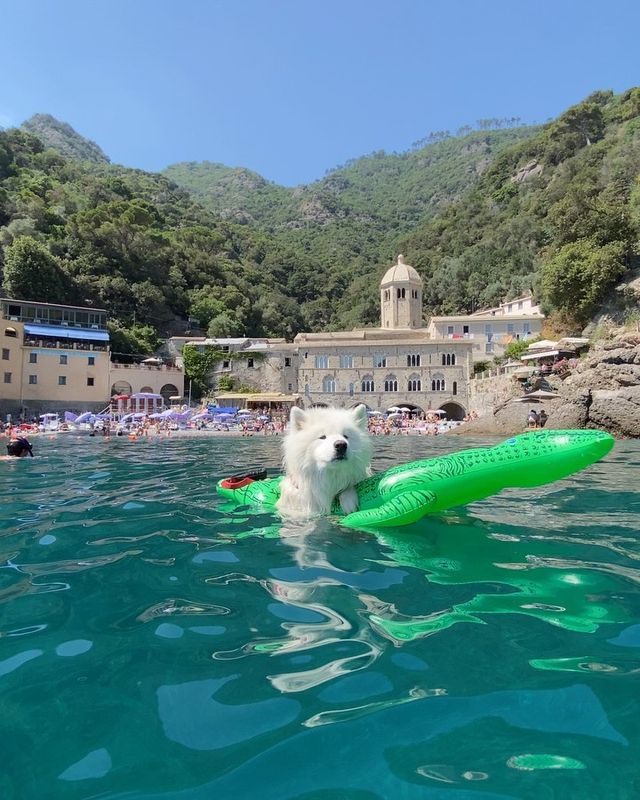 CINQUE TERRE & PORTOFINO TRAVEL GUIDE ✨⤵️