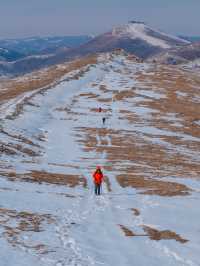 初春崇禮三樑｜又遇風雪交加的山野體驗