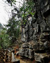 打卡地球最美的傷疤-馬嶺河峽谷!