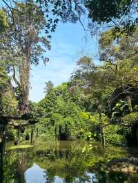 廈門植物園，值得去一次的植物園