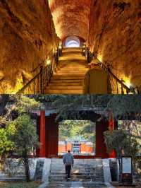 山東竟然有下墓的旅行地週末就我一人