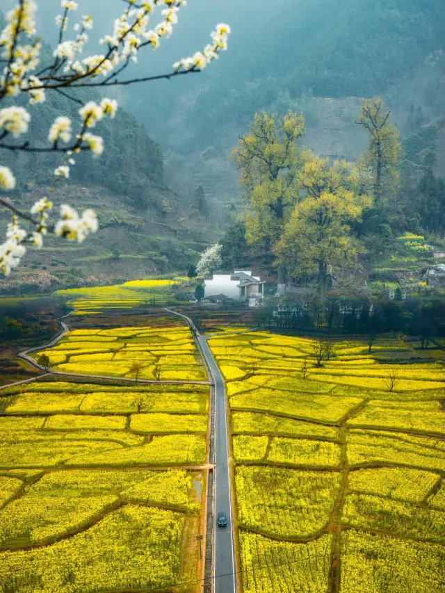 The Huizhou that comes next is a poetic and picturesque paradise in spring