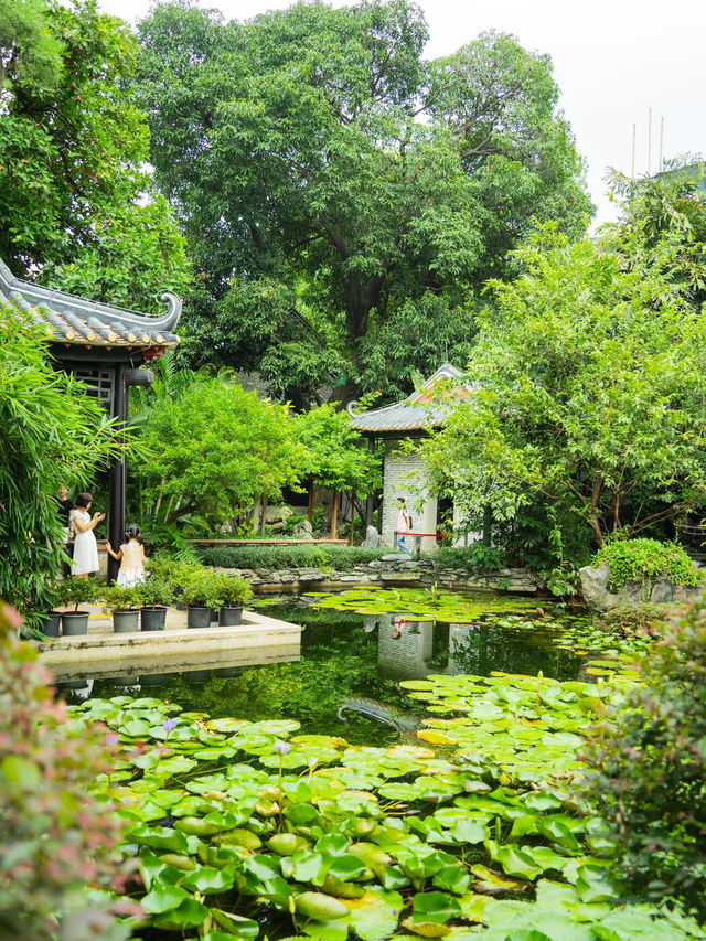 跟著《中國國家地理》打卡佛山梁園太值了