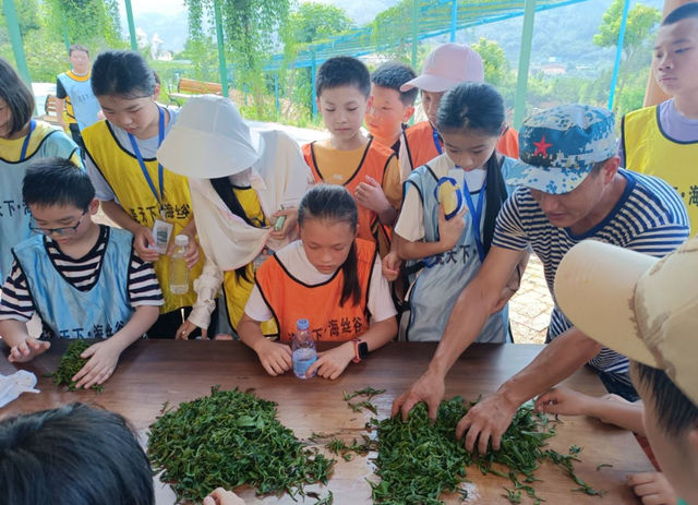 非遺茶文化親子研學｜瓷天下海絲谷