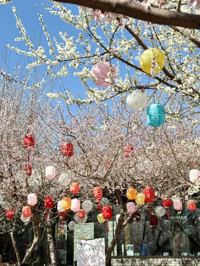 Beijing's niche park check-in spot, super photogenic!