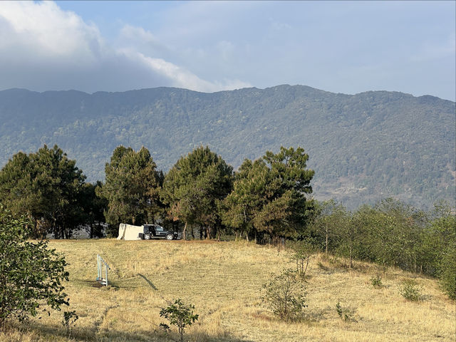 雲南臨倉市茫來草山