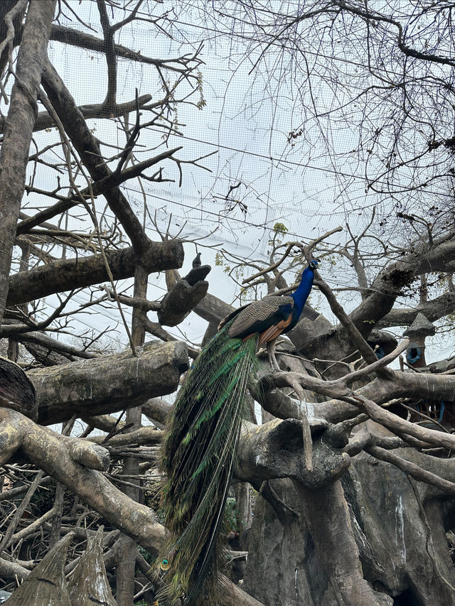 周末去哪兒｜順德長鹿休博園