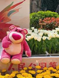 鄭州人民公園賞花——在春天感受美好