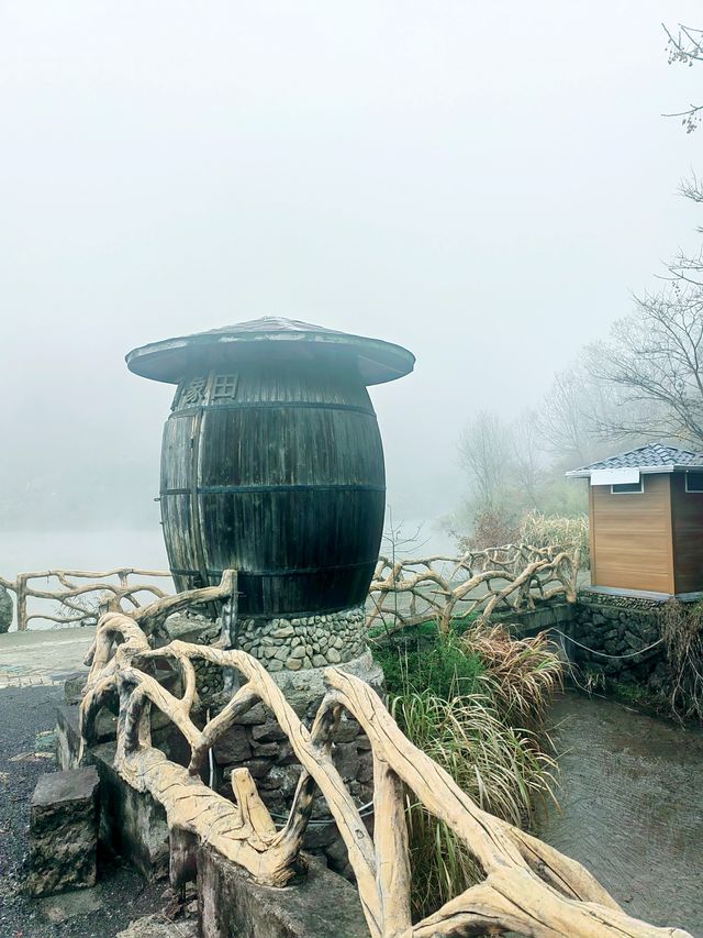 浙江最美的田園，在雨中綻放的油菜花