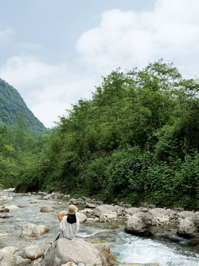 為了這個原始森林窗景！我特意去了一趟成都！