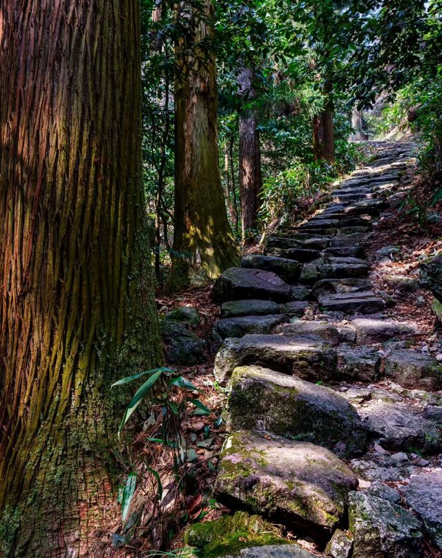 穿越1500年，徒步進東晉